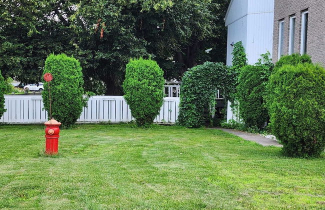 Timeless Tranquility, a place near everything! - Foto 21