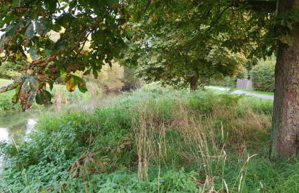 FeWo Steingasse - Foto 34