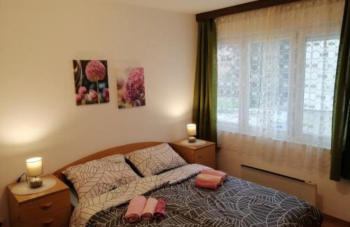 APARTMAN NENA - Foto 5