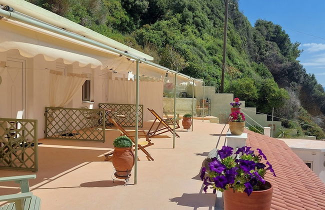 Maeiz Skopelos - Foto 20