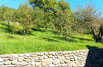 NEW ENTRY - Nuova villa nel verde - Foto 27