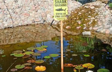 Świerkowe Siedlisko pokoje gościnne - Foto 26