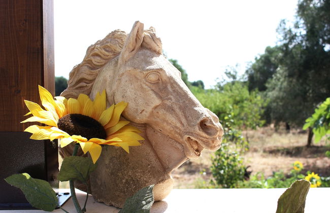 Trullo Madia with Shared Hot Tub in Nature - Foto 32