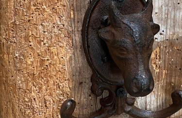 Ferienwohnung 1 Akazie Holthusen 25514 - Foto 10