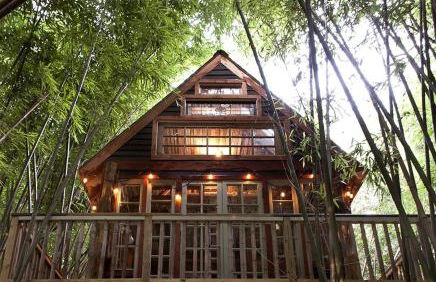 Cozy Alpaca Tree House Rental in the Bamboo Forest in Atlanta, Georgia - Foto 1