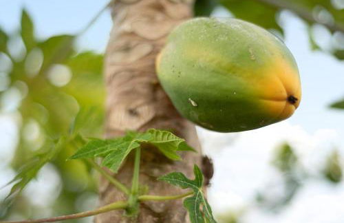 Apartamento las Viñas 1 - Foto 28