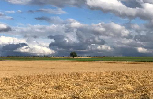 BoBi - 2 Schlafzimmer, Balkon, W-Lan, Parkplatz - Foto 23