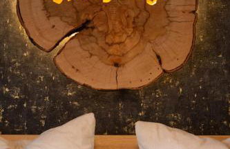 Ferienwohnungen Am Burgberg - Foto 8