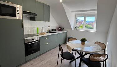 Le Col'Vert - Appartement 50m2 - Colmar Centre - Foto 5, dishwasher