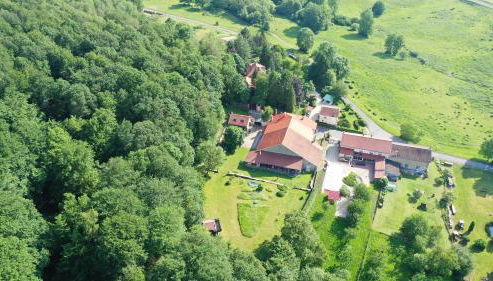 Le Chant des Oiseaux - Foto 3