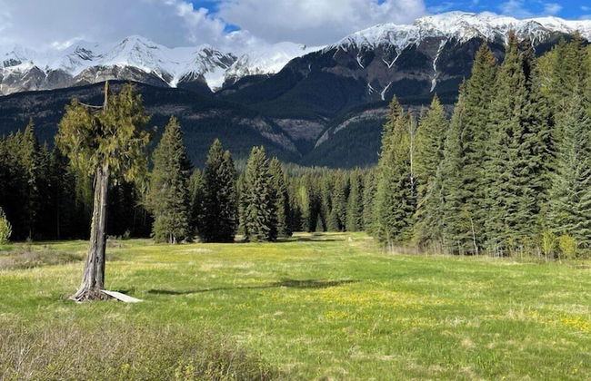 Rustic Beaverfoot Lodge Woodland Cabin - Photo 12