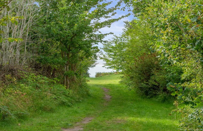 "Morten" - 120m from the sea - Photo 20