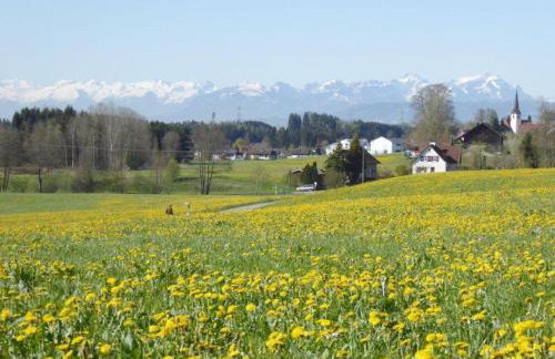 Ferienwohnung Säntisblick - Foto 23
