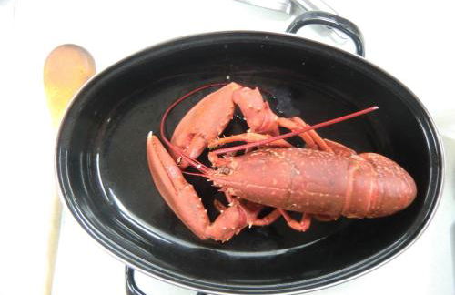 Bright comfy home, sea views and big skies - Foto 24