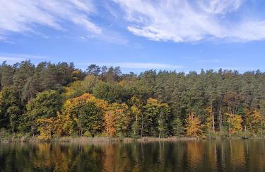 Smugi Dom Gościnny - Foto 34