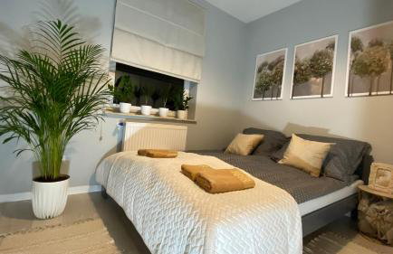 Apartament Plaza Park - Foto 6