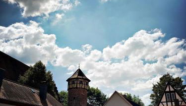 Schwarzer Adler - Foto 5