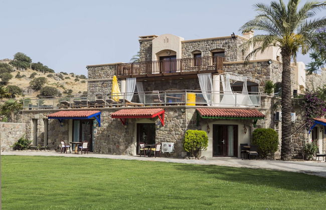 Palmiye Tepesi - Foto 1