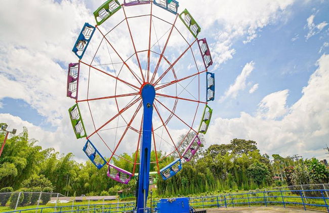 No te pierdas la diversión en el Parque del Café – Tour de un día entero - Foto 3