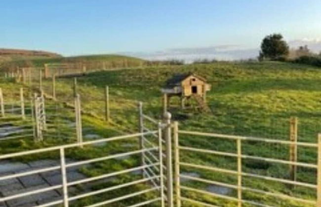 Surf Shack, 1-bed Cottage, Sleeps 2, Pet Friendly - Foto 13