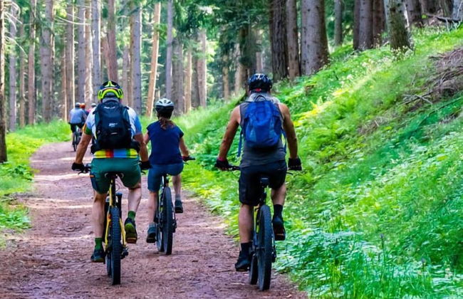 Alberguiere - Foto 16