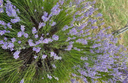 Apartments Petra - Photo 69