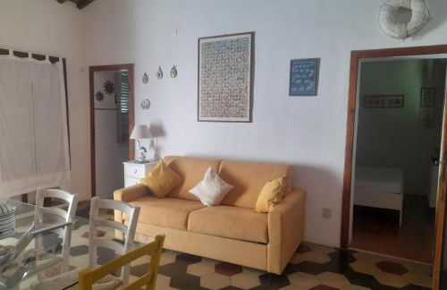 Fico d'india - Foto 14