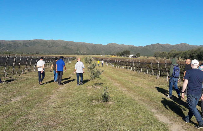 Colonia Caroya Wineries Tour & Tasting - Foto 8