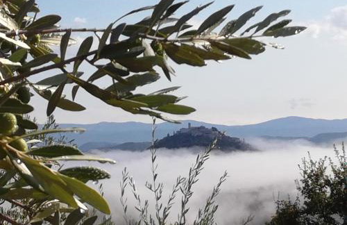 Apartment PARENZANA, little row HOUSE with big green yard in central Istria - Foto 56