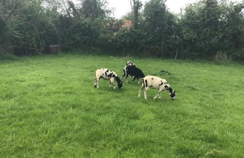 The Stable Poplar Farm - Foto 3