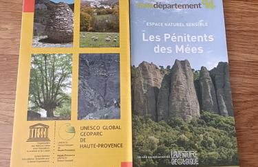 Le jardin de Nigelle , Bas De Villa En Provence - Foto 22