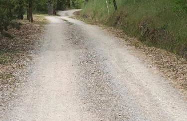 Agriturismo L'Incrociata - Foto 77