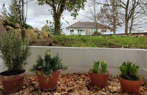 Künstlerhaus Hugin & Munin - Foto 5