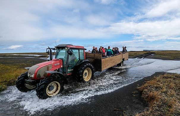 Avistamiento de frailecillos en Ingólfshöfði - Foto 3