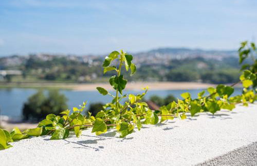 GuestReady - Freixo Island - Douro Views - Foto 13