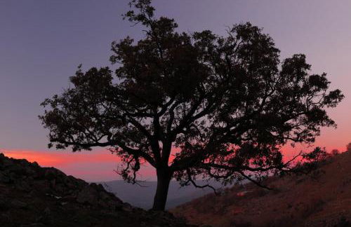 Casa Rural ARBEQUINA & Esquí La Covatilla - Foto 40