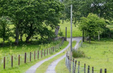 Hafod Cae Maen - Foto 38