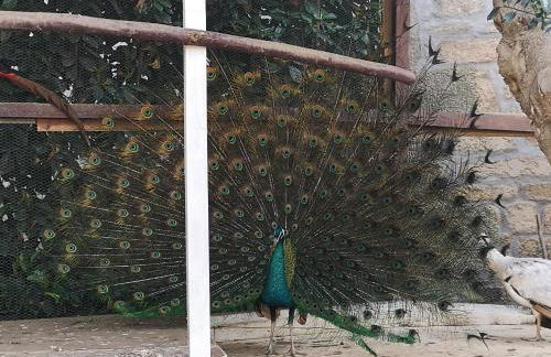 Gojim Casa Rural - Foto 75