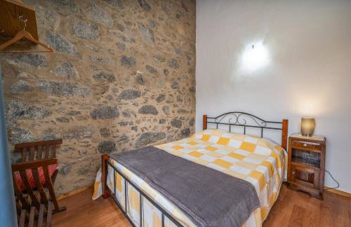 Horta Do Zé Miguel - Foto 24