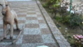 Michaela's house - Photo 4