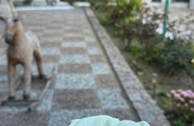 Michaela's house - Photo 4