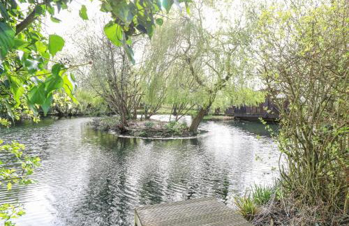 Damsel Shepherds Hut - Foto 20