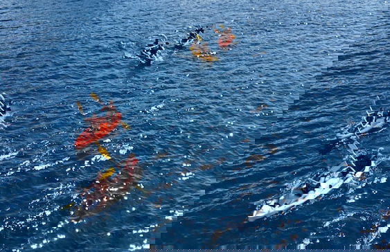 Paradise Gumusluk - Photo 43