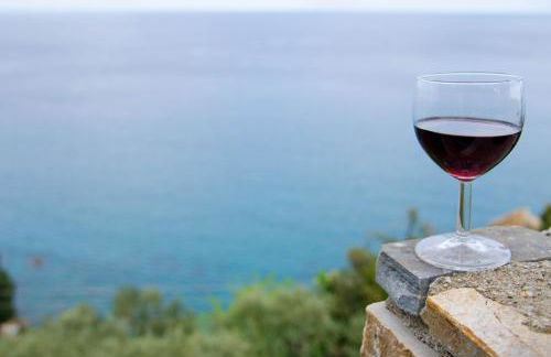 Guesthouse Enastron - Foto 31