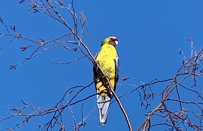 Hazelcreek Cottages - Photo 21