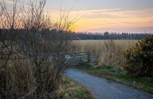 Treforgan Newydd - Foto 15