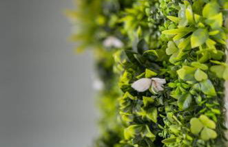 Au Grès Des Vosges - 02 - Foto 15