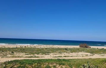 Arancina Abbronzata - Foto 16