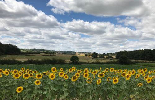 Le Hibou -1 bed Gite - Foto 9