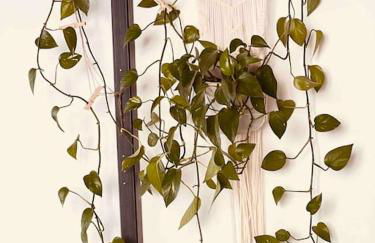 Luxus Loft im Herzen von Bochum Werne. - Foto 8